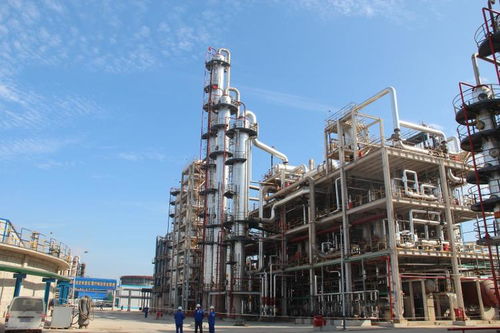 摒棄粗老笨重,濱州化工瞄準(zhǔn) 高精尖