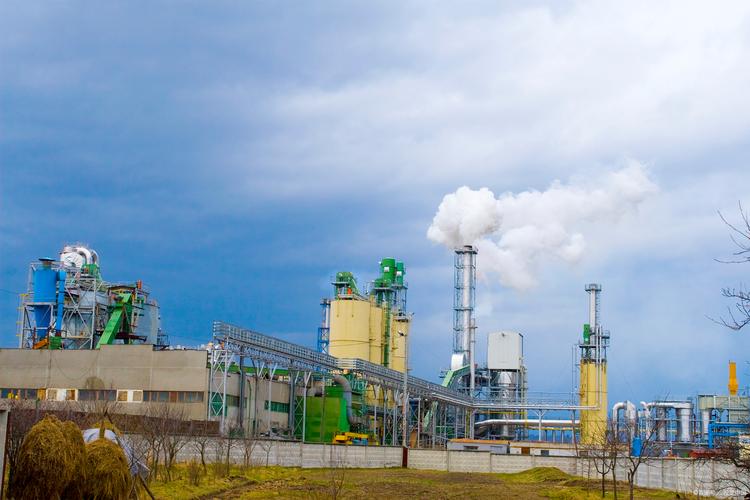 林產(chǎn)化工 探尋森林資源的化學密碼與綠色未來